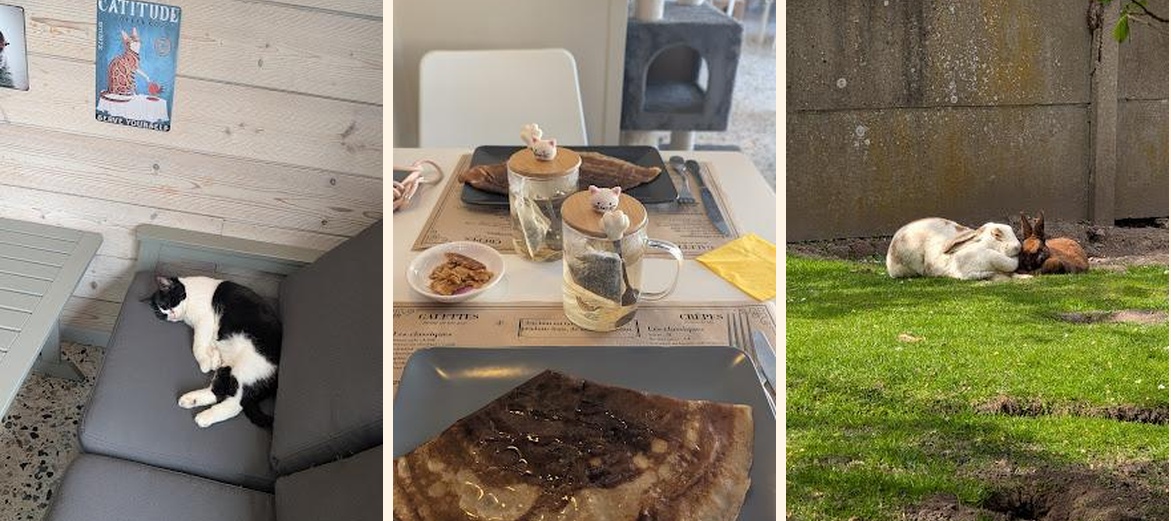 Le Henri Cat - Gallery Image 2