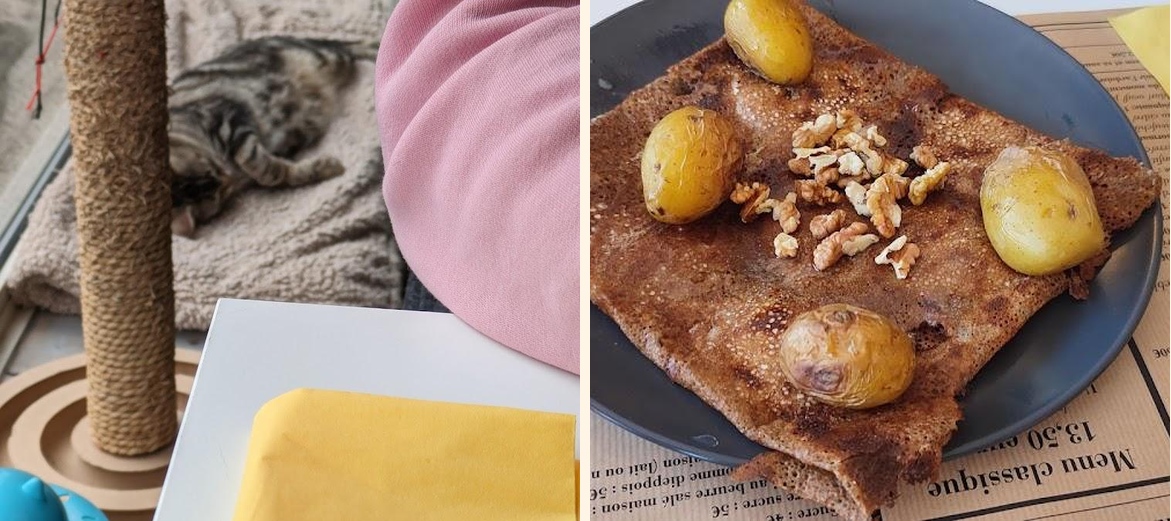 Le Henri Cat - Gallery Image 5