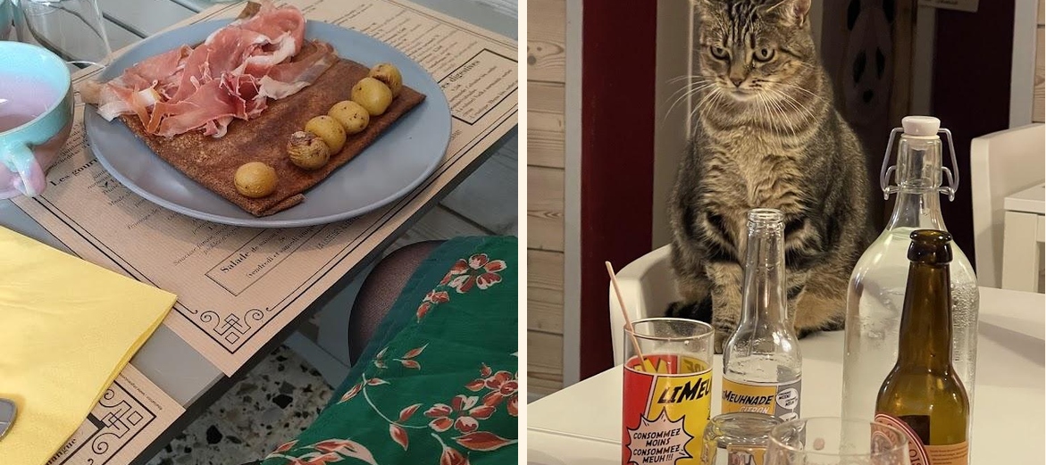 Le Henri Cat - Gallery Image 7