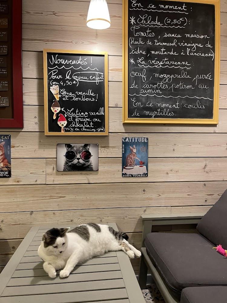 Le Henri Cat - Menu Image 4